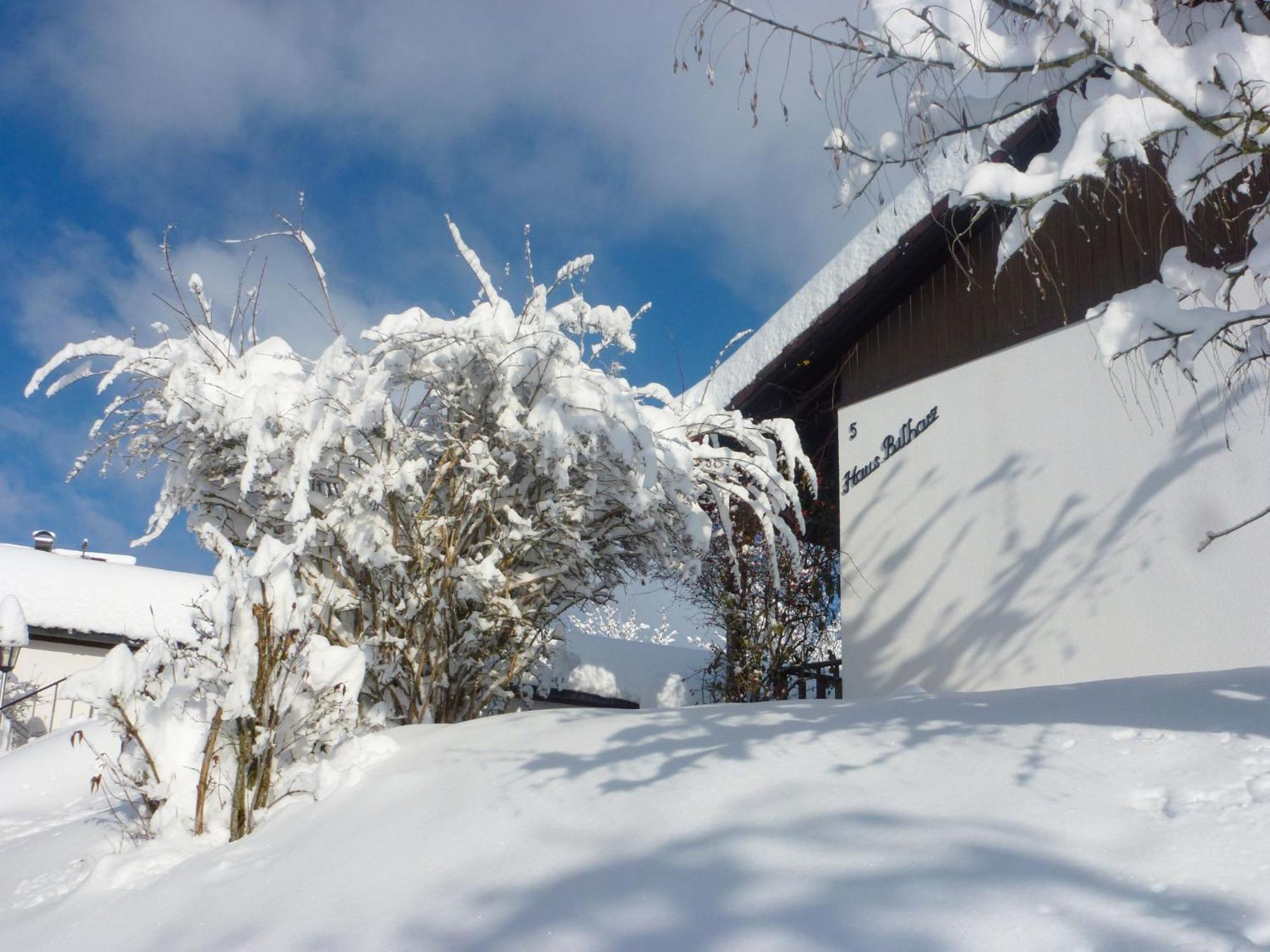 דיטישהאוזן Holiday Home Bilharz By Interhome מראה חיצוני תמונה